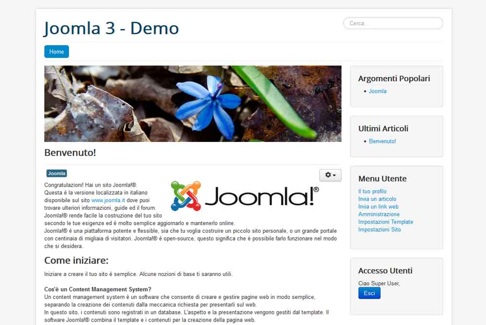 joomla demo