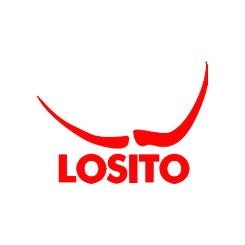 Losito International Films