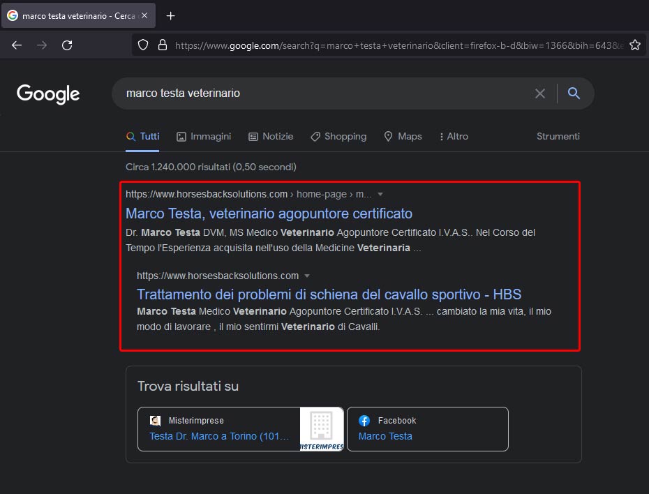 risultato seo per il sito HBS