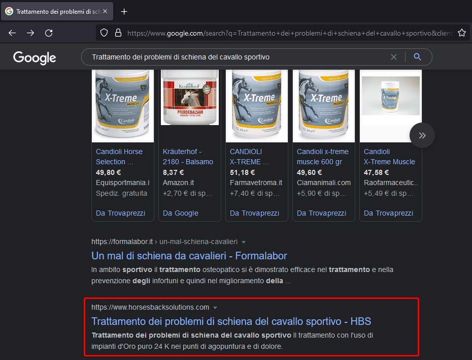 Risultati seo per sito HBS