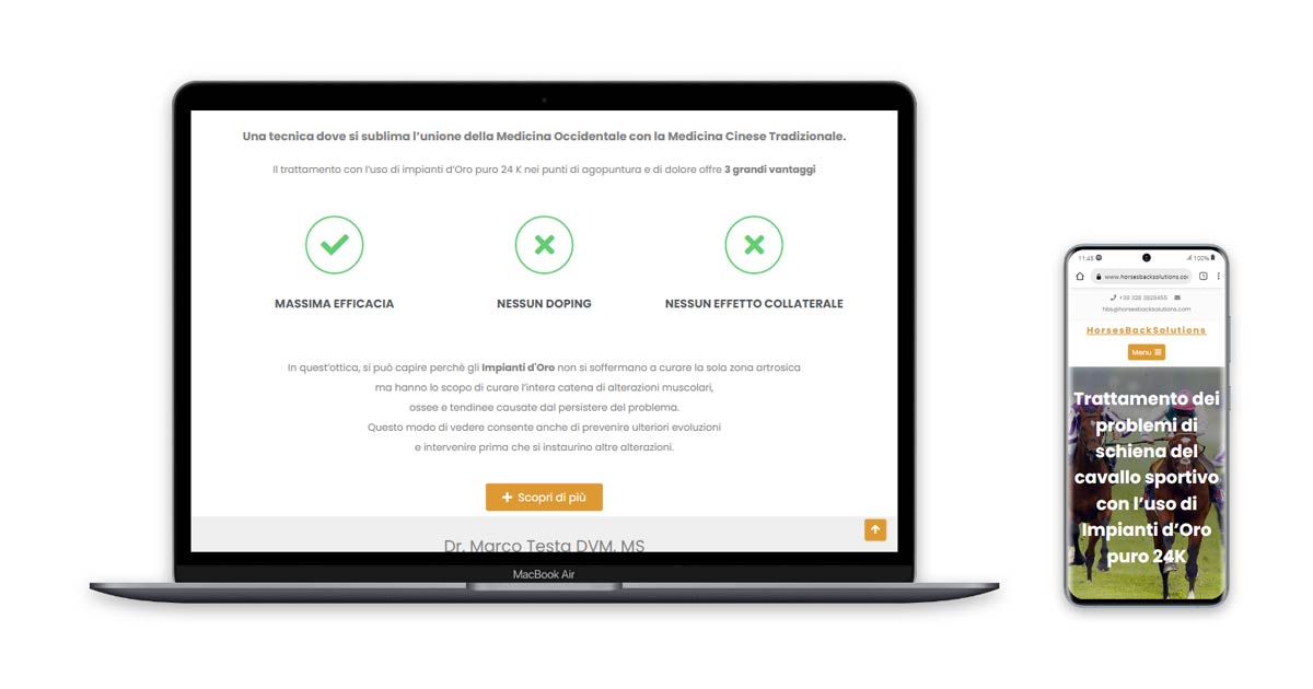 Realizzazione sito web Horse Back Solutions